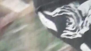 Babes wipe pussy after a leak in a shared public restroom