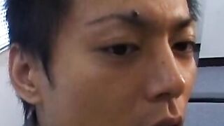 Office girl gets pussy drilled