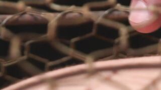 Helpless Colt Rivers trapped inside a cage while Adam Herst anal fucks him