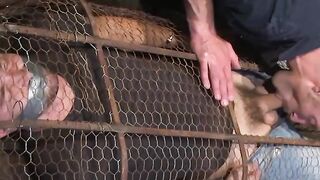 Helpless Colt Rivers trapped inside a cage while Adam Herst anal fucks him