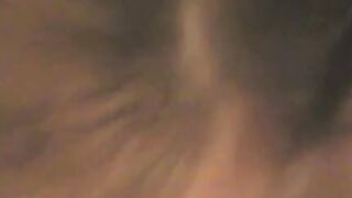 Amateur babe sucks dick