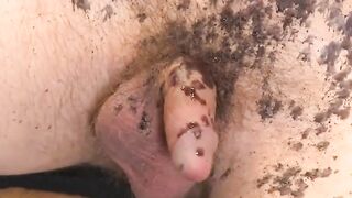 Tyler Rush restrained and made to swallow whole officer Connor Maguires cock