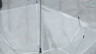 Naughty schoolgirls collect golden showers with an umbrella