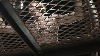 Fugitive Wolf Hudson has officer Daniel Lament in his BDSM world