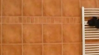 Hottie gives a steamy blowjob