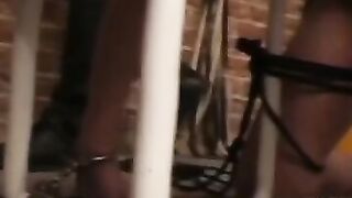 Slut gets humiliated on camera