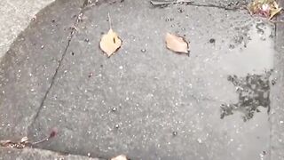 Cameraman captures shy girls who had to pee outside
