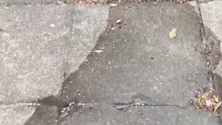 Cameraman captures shy girls who had to pee outside