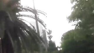 Adorable girl rushes to the park to find a spot to pee
