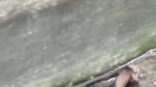 Adorable girl rushes to the park to find a spot to pee