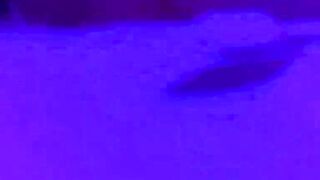 Intense sex with a slim, gorgeous Chinese nymph under ultraviolet light - XXX!