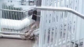 This girl seeks a spot to relief from her urge