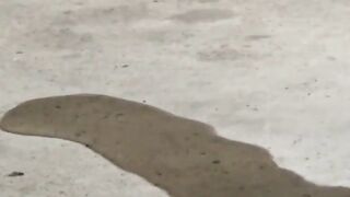 Shy girl urgently needs to pee so friend films her outdoors