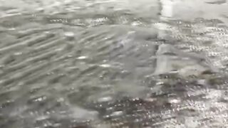 Innocent girls unaware of filming release big streams of pee