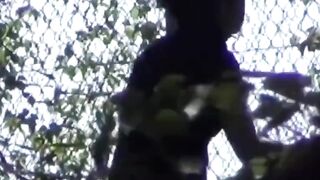 Voyeur spots babe peeing on stairs and flees in wet skirt