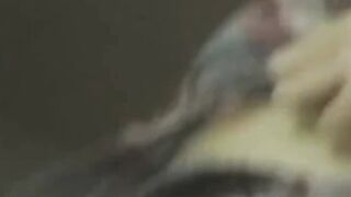 Voyeur zooms on Asian babes fingering to multiple orgasms