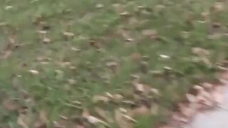 Public Piss-Fetish Compilation #2 - Outdoor Golden Showers