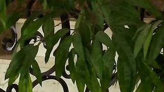 Thick-Dicked Goddess Adores His Monster Dick - POV Blowjob & Deepthroat with Facial