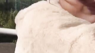 Amateur-Japanese Cuties #2 - Outdoor Peeing Adventures
