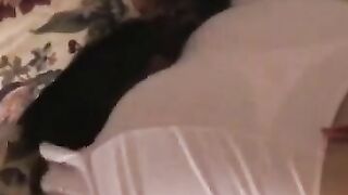 Ass-Worship Babes Enjoy Anal Play in Threesome