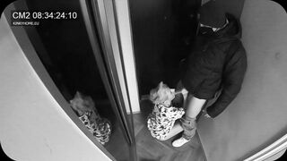 Concealed camera - fiance blown the postman while hubby inside