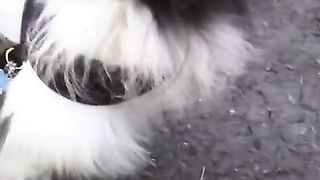 Asian Babe Gets Fucked Hard In A Steamy Bathroom