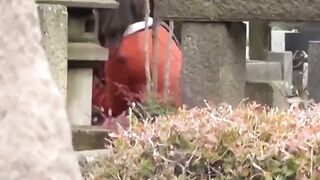 Asian Babe Facesitting on Old Man's Face While Peeing in His Mouth