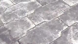 Exotic Outdoor Peeing Fetish - Dirty Talking Bombshell Asians Pee Outside