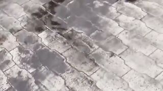 Exotic Outdoor Peeing Fetish - Dirty Talking Bombshell Asians Pee Outside