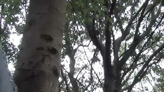Japanese Teen's Innocent Adventure - Stress Testing Gone Wrong