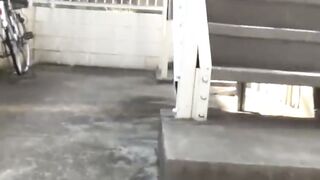 Exploring Japan's Hidden Gems - Peeing In Public Alleyway With Locals