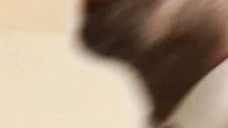 PrincessParis XXX - Thrillingly Drilled By A Handsome Stud