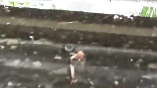 Asian Babe Exposes Herself in Public - Skirt Lifting & Peeing Outdoors