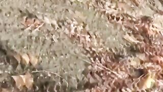 Japanese Babes Shower of Pee - Unusual Fetish Video