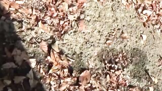 Japanese Babes Shower of Pee - Unusual Fetish Video