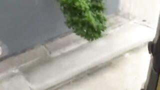 Exotic Japan - Daring barely legal Women Peeing In Public Places