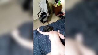 Daddy Fucks me Hard till he Ejaculates