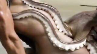 Octopussy's Oral Adventure - Sucking & Fisting Blowjob Compilation