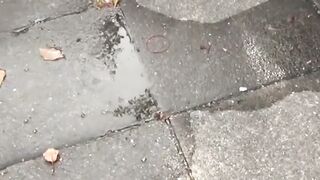 Hot Babe's Piss Play in Public - Secret Voyeurs Capture Her