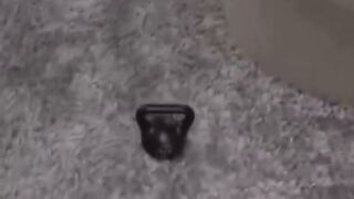 Mom's Hot Stepson Fucks His Mother In-Law While Dad Is Away