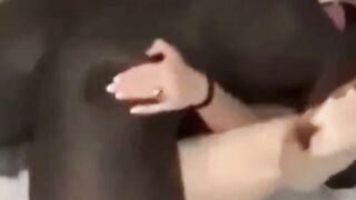 Amateur Homemade Porn Voyeuristic Encounter with Curvy Girl Next Door