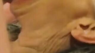 French MILF Fucked Hard - Old Woman Seduces barely legal Man With Her Curvy Body