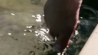 Hottie mom Lisa Anne Fucks Her Son-Into Law Into The Swimming Pool