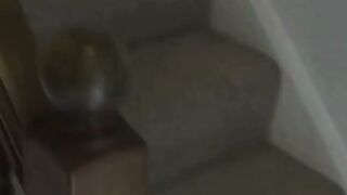 Burglary Gone Wild - Busty Pawg MILF Gets Creampied by Intruder