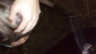 SEXY HISPANIC BLOWS DICK INTO OUTDOORS MAKES ME CUM TWICE