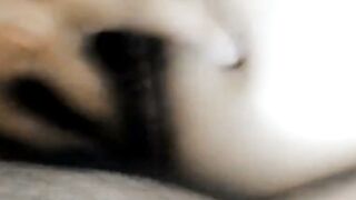 Petite Vietnamese Wife Enjoys Passionate Doggy Style