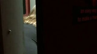 Natasha Nice's Naughty Glory Hole Adventure