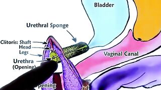 Eastern Petites 2: Rough Hardcore Sex with Blonde & Exotic Beauties