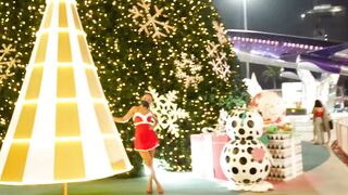 Cherry Lee's Sensual Christmas Twerk Session