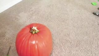 Step-Bro's Halloween Prank Turns Into Creepy Costume Roleplay